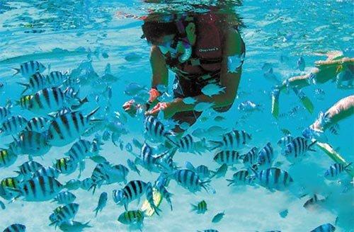 张新国:上海最牛钉子户,为要6套房和1亿现金,硬扛14年结果如何