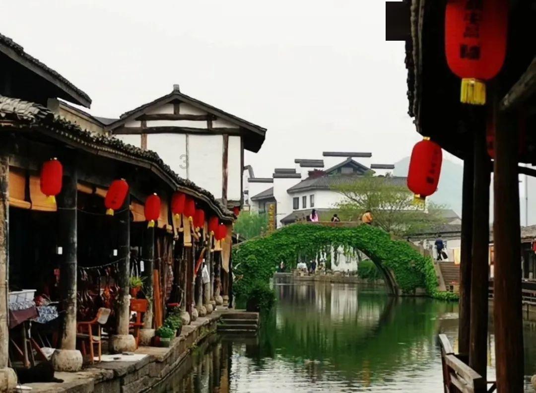 燃烧吧大脑装瓶子游戏