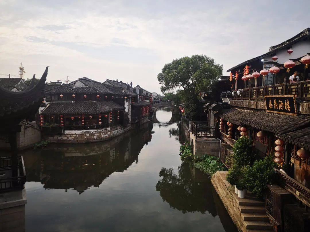 翻转吧，苹果虫